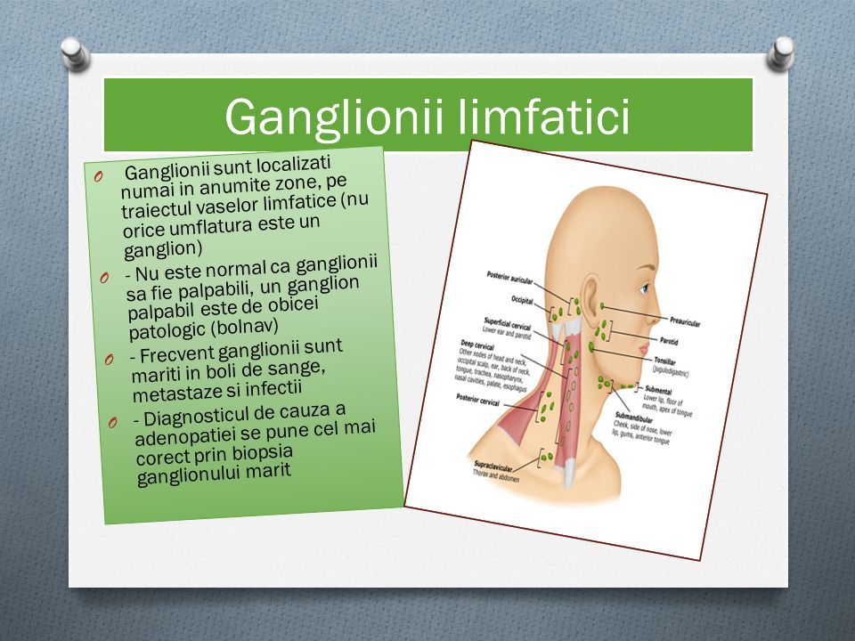 Ganglionii limfatici O Ganglionii sunt localizati numai in anumite zone, pe traiectul vaselor limfatice (nu orice umflatura este un ganglion) O - Nu este normal ca ganglionii sa fie palpabili, un ganglion palpabil este de obicei patologic (bolnav) O - Frecvent ganglionii sunt mariti in boli de sange, metastaze si infectii O - Diagnosticul de cauza a adenopatiei se pune cel mai corect prin biopsia ganglionului marit